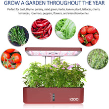 Lade das Bild in den Galerie-Viewer, iDOO 12Pods Indoor Herb Garden Kit, Hydroponics Growing System, Smart Garden Planter with Air Circulation, LED Grow Light, Plants Germination Kit for Home Kitchen, Automatic Timer, Height Adjustable
